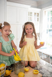 DEAL OF THE DAY! Lemonade Swing Set